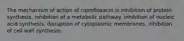 The mechanism of action of ciprofloxacin is inhibition of protein synthesis. inhibition of a metabolic pathway. inhibition of nucleic acid synthesis. disruption of cytoplasmic membranes. inhibition of cell wall synthesis.