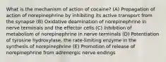 What is the mechanism of action of cocaine? (A) Propagation of action of norepinephrine by inhibiting its active transport from the synapse (B) Oxidative deamination of norepinephrine in nerve terminals and the effector cells (C) Inhibition of metabolism of norepinephrine in nerve terminals (D) Potentiation of tyrosine hydroxylase, the rate-limiting enzyme in the synthesis of norepinephrine (E) Promotion of release of norepinephrine from adrenergic nerve endings