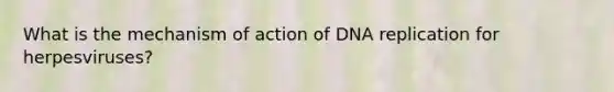 What is the mechanism of action of DNA replication for herpesviruses?