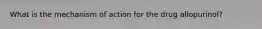 What is the mechanism of action for the drug allopurinol?