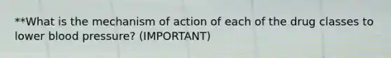 **What is the mechanism of action of each of the drug classes to lower blood pressure? (IMPORTANT)