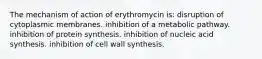 The mechanism of action of erythromycin is: disruption of cytoplasmic membranes. inhibition of a metabolic pathway. inhibition of protein synthesis. inhibition of nucleic acid synthesis. inhibition of cell wall synthesis.