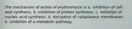 The mechanism of action of erythromycin is a. inhibition of cell wall synthesis. b. inhibition of protein synthesis. c. inhibition of nucleic acid synthesis. d. disruption of cytoplasmic membranes. e. inhibition of a metabolic pathway.