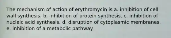 The mechanism of action of erythromycin is a. inhibition of cell wall synthesis. b. inhibition of protein synthesis. c. inhibition of nucleic acid synthesis. d. disruption of cytoplasmic membranes. e. inhibition of a metabolic pathway.