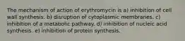 The mechanism of action of erythromycin is a) inhibition of cell wall synthesis. b) disruption of cytoplasmic membranes. c) inhibition of a metabolic pathway. d) inhibition of nucleic acid synthesis. e) inhibition of protein synthesis.