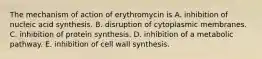 The mechanism of action of erythromycin is A. inhibition of nucleic acid synthesis. B. disruption of cytoplasmic membranes. C. inhibition of protein synthesis. D. inhibition of a metabolic pathway. E. inhibition of cell wall synthesis.