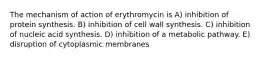 The mechanism of action of erythromycin is A) inhibition of protein synthesis. B) inhibition of cell wall synthesis. C) inhibition of nucleic acid synthesis. D) inhibition of a metabolic pathway. E) disruption of cytoplasmic membranes