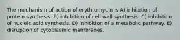 The mechanism of action of erythromycin is A) inhibition of protein synthesis. B) inhibition of cell wall synthesis. C) inhibition of nucleic acid synthesis. D) inhibition of a metabolic pathway. E) disruption of cytoplasmic membranes.