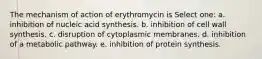 The mechanism of action of erythromycin is Select one: a. inhibition of nucleic acid synthesis. b. inhibition of cell wall synthesis. c. disruption of cytoplasmic membranes. d. inhibition of a metabolic pathway. e. inhibition of protein synthesis.