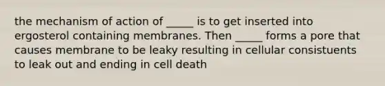 the mechanism of action of _____ is to get inserted into ergosterol containing membranes. Then _____ forms a pore that causes membrane to be leaky resulting in cellular consistuents to leak out and ending in cell death