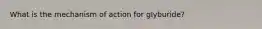 What is the mechanism of action for glyburide?