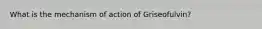 What is the mechanism of action of Griseofulvin?