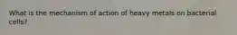 What is the mechanism of action of heavy metals on bacterial cells?