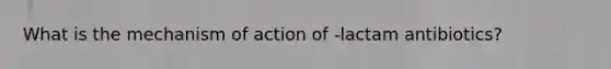 What is the mechanism of action of -lactam antibiotics?