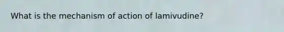 What is the mechanism of action of lamivudine?