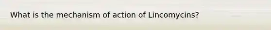 What is the mechanism of action of Lincomycins?