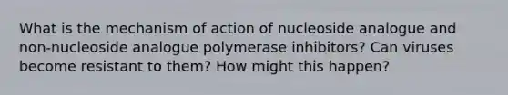 What is the mechanism of action of nucleoside analogue and non-nucleoside analogue polymerase inhibitors? Can viruses become resistant to them? How might this happen?