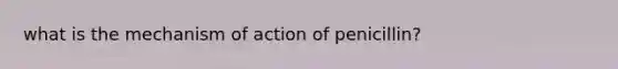 what is the mechanism of action of penicillin?