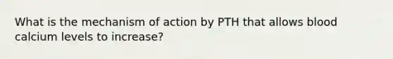 What is the mechanism of action by PTH that allows blood calcium levels to increase?