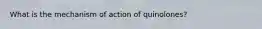 What is the mechanism of action of quinolones?