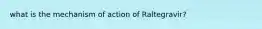 what is the mechanism of action of Raltegravir?