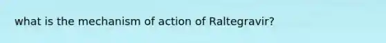 what is the mechanism of action of Raltegravir?