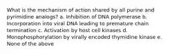 What is the mechanism of action shared by all purine and pyrimidine analogs? a. Inhibition of DNA polymerase b. Incorporation into viral DNA leading to premature chain termination c. Activation by host cell kinases d. Monophosphorylation by virally encoded thymidine kinase e. None of the above