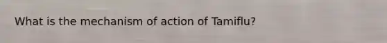 What is the mechanism of action of Tamiflu?