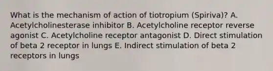 What is the mechanism of action of tiotropium (Spiriva)? A. Acetylcholinesterase inhibitor B. Acetylcholine receptor reverse agonist C. Acetylcholine receptor antagonist D. Direct stimulation of beta 2 receptor in lungs E. Indirect stimulation of beta 2 receptors in lungs