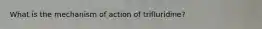 What is the mechanism of action of trifluridine?