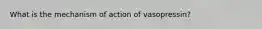 What is the mechanism of action of vasopressin?