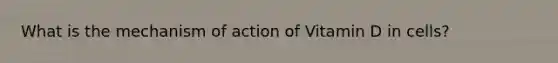 What is the mechanism of action of Vitamin D in cells?