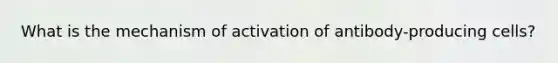 What is the mechanism of activation of antibody-producing cells?