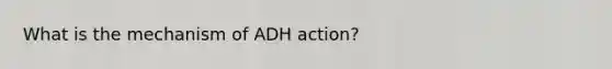 What is the mechanism of ADH action?