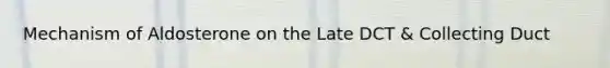 Mechanism of Aldosterone on the Late DCT & Collecting Duct