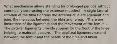 What mechanism allows standing for prolonged periods without continually contracting the extensor muscles? - A slight lateral rotation of the tibia tightens the anterior cruciate ligament and joins the meniscus between the tibia and femur. - There are limitations of the ligaments and the movement of the femur. - The patellar ligaments provide support for the front of the knee, helping to maintain posture. - The popliteal ligaments extend between the femur and the heads of the tibia and fibula.