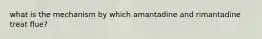 what is the mechanism by which amantadine and rimantadine treat flue?