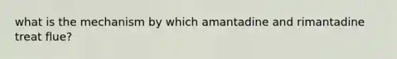 what is the mechanism by which amantadine and rimantadine treat flue?