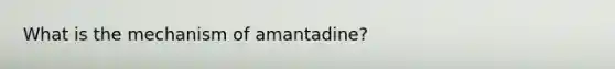 What is the mechanism of amantadine?