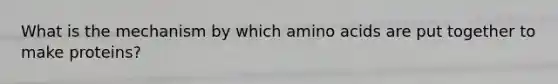 What is the mechanism by which amino acids are put together to make proteins?