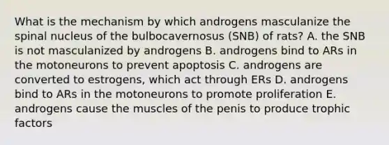 What is the mechanism by which androgens masculanize the spinal nucleus of the bulbocavernosus (SNB) of rats? A. the SNB is not masculanized by androgens B. androgens bind to ARs in the motoneurons to prevent apoptosis C. androgens are converted to estrogens, which act through ERs D. androgens bind to ARs in the motoneurons to promote proliferation E. androgens cause the muscles of the penis to produce trophic factors