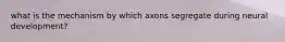 what is the mechanism by which axons segregate during neural development?