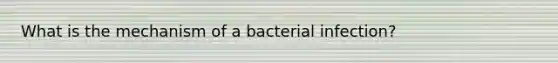 What is the mechanism of a bacterial infection?