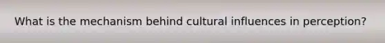 What is the mechanism behind cultural influences in perception?