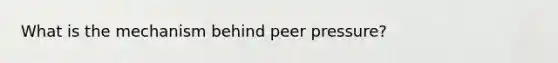 What is the mechanism behind peer pressure?