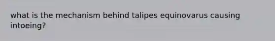 what is the mechanism behind talipes equinovarus causing intoeing?