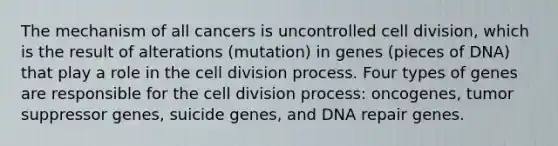 The mechanism of all cancers is uncontrolled cell division, which is the result of alterations (mutation) in genes (pieces of DNA) that play a role in the cell division process. Four types of genes are responsible for the cell division process: oncogenes, tumor suppressor genes, suicide genes, and DNA repair genes.