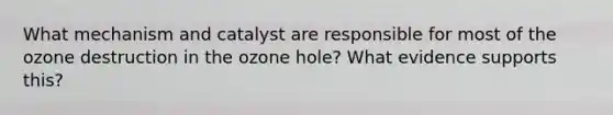 What mechanism and catalyst are responsible for most of the ozone destruction in the ozone hole? What evidence supports this?