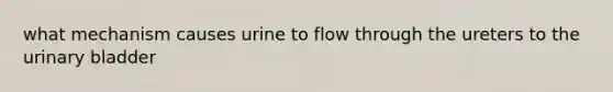 what mechanism causes urine to flow through the ureters to the <a href='https://www.questionai.com/knowledge/kb9SdfFdD9-urinary-bladder' class='anchor-knowledge'>urinary bladder</a>