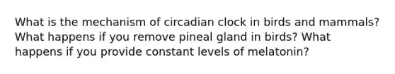 What is the mechanism of circadian clock in birds and mammals? What happens if you remove pineal gland in birds? What happens if you provide constant levels of melatonin?